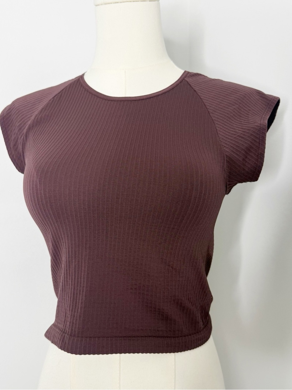 Anthropologie Purple Ribbed Crop Top Stretch Cap Sleeve Size S/M
